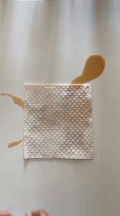 absorbs 20x its own weight